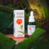 Frasco gotero y caja de infusión herbal de Flores de Caléndula (Calendula officinalis), con ilustración botánica naranja, sobre madera en la naturaleza.