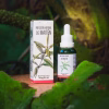 Frasco gotario de vidrio verde y caja de la Infusión Herbal de Maitén, mostrando el nombre científico Maytenus boaria y su nombre tradicional Maghtun, en un entorno de hojas verdes.