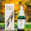 Frasco gotario y envase de cartón de la Infusión Herbal de Sauce (Salix humboldtiana), apoyados sobre madera en un entorno de naturaleza otoñal.