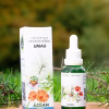Frasco gotario y caja de la Infusión Herbal Umau, extracto natural de 4 plantas de la Línea Küme Felen, sobre una base de madera rodeado de naturaleza.